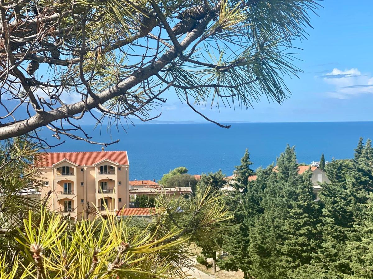 Apartments Grozdana Gradac  Luaran gambar